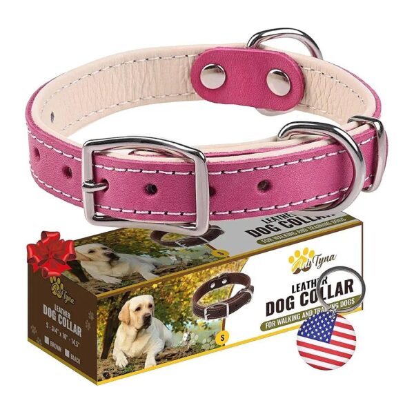 Premium Pink Leather Small Dog Collar with Padded Comfort and Dual D-Rings