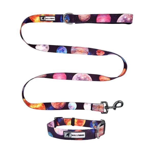 Premium Polyester Dog Collar Leash Sets for Male and Female Puppies in Observatory Color