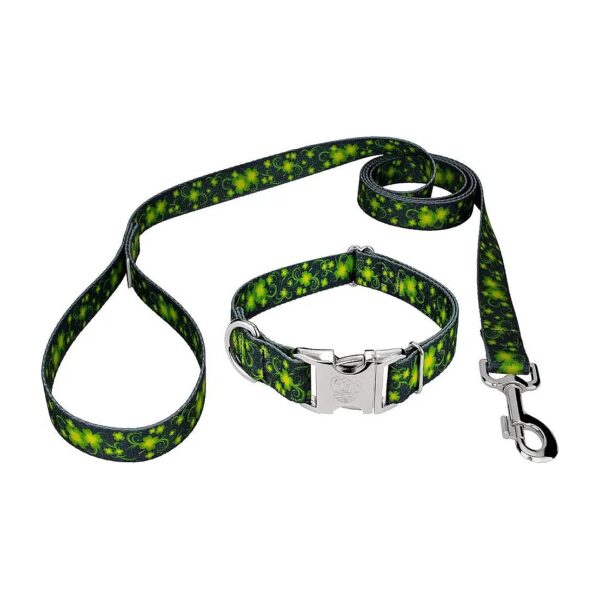 Premium Quality Collar and Leash for Pet Owners and Breeders