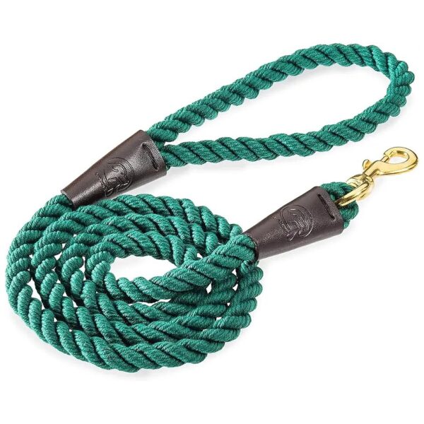 Premium Quality Cotton Rope Leash for Small Medium and Large Breed Dogs 5 FT Forest Green