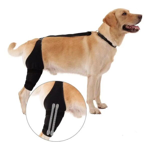 Premium Quality Dog Knee Braces for Arthritis, ACL, and CCL Relief