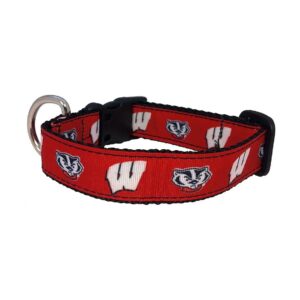 Premium Wisconsin Badgers Logo Dog Collar for Large Dogs Made in USA