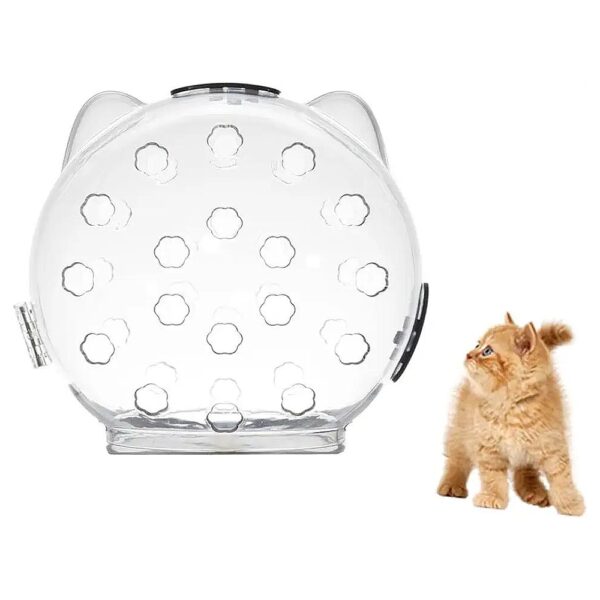 Prevent Cat Chewing and Biting with Our Transparent Helmet and Mask