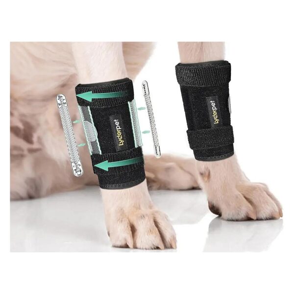 Prevent Dog Injuries and Sprains with Advanced Leg Support