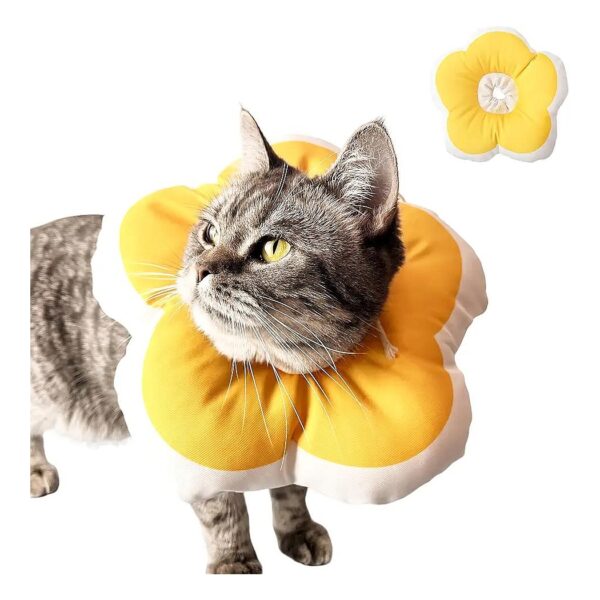 Prevent Licking and Skin Problems with this Adjustable Soft Cat Cone Collar