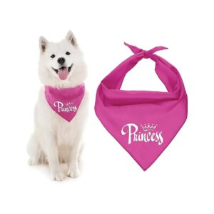 Princess Dog Bandanas with Printed Word for Large Dogs Washable Triangle Adjustable Scarf