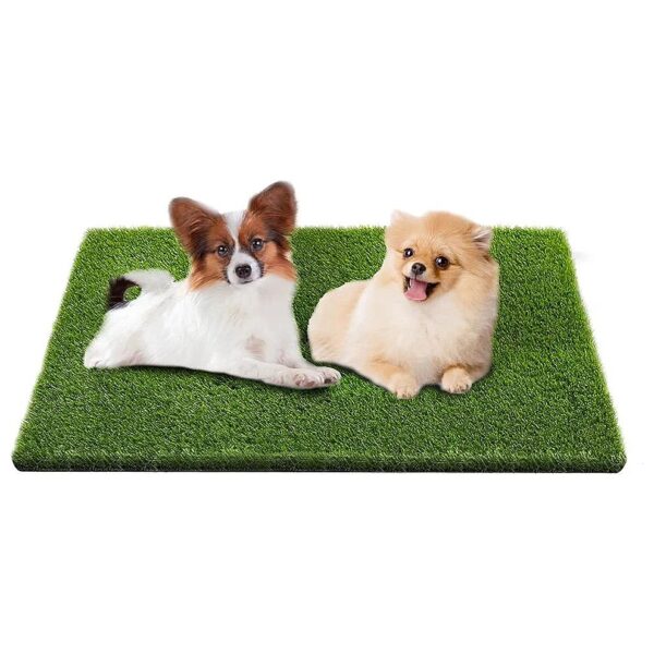 Professional Grade Fake Grass Pee Pads for Small Medium Dogs