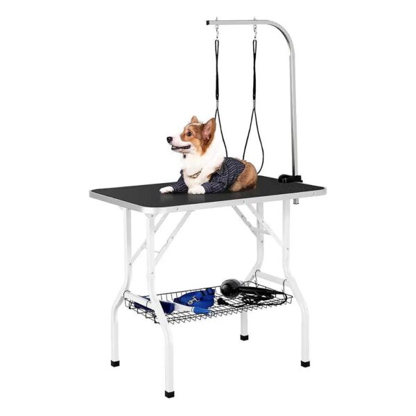 Professional Pet Grooming Table with Adjustable Height and Folding Legs