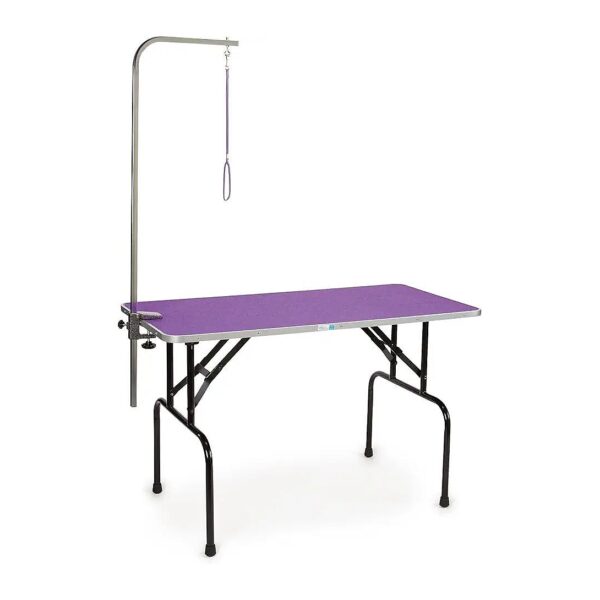 Professional-Grade Grooming Table with Grooming Arm and Non-Slip Surface