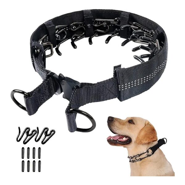 Prong Collar for Small to Large Dogs with Adjustable Links and Buckle