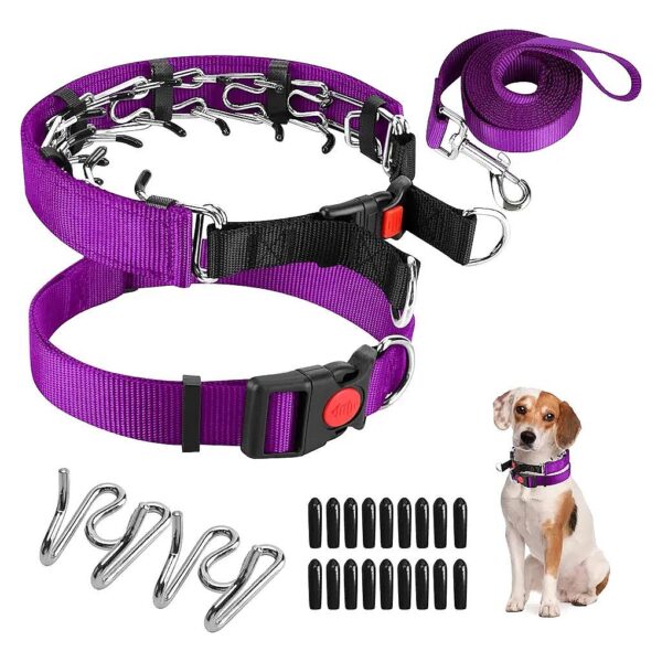 Prong Training Collar with Comfort Tips for Small, Medium, Large Dogs