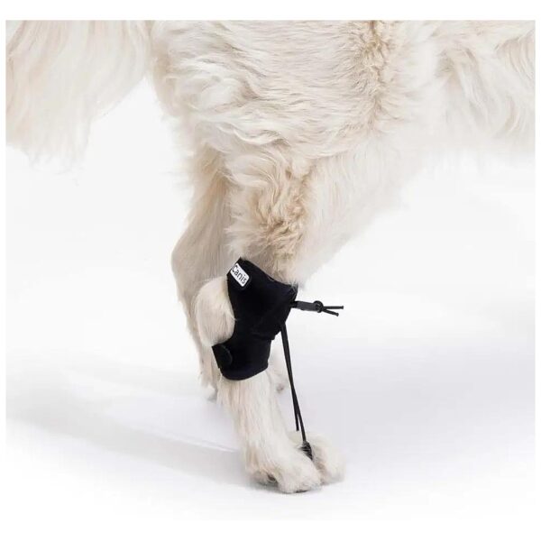 Proprioceptive Corrector for Canines with Sciatic Nerve Injuries and Myelopathy Issues