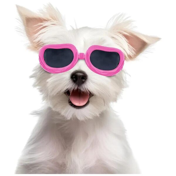 Protect Your Dog's Eyes with Anti-Fog UV400 Sunglasses for Small Dogs