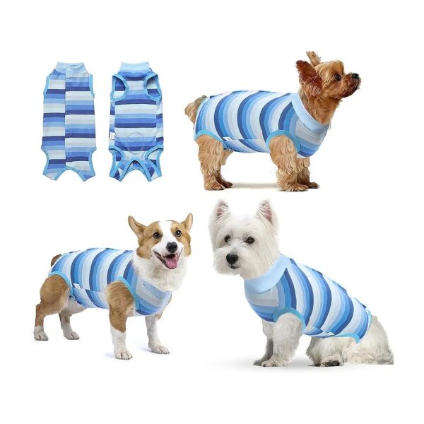 Protect Your Pet's Incision, Bandages, and Hotspots with Anti-Licking Dog Recovery Suit