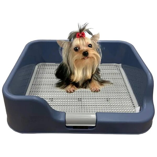 Protective Blue Dog Potty Tray with Walls for Leaks and Messes