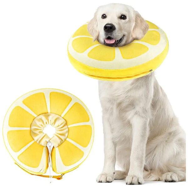 Protective Inflatable Dog Cone for Wound Healing and Prevention of Scratching and Biting