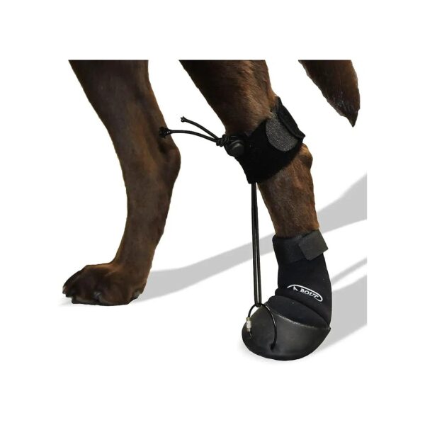 Protective No Knuckling Boot Brace for Dogs Dragging Paws Fast