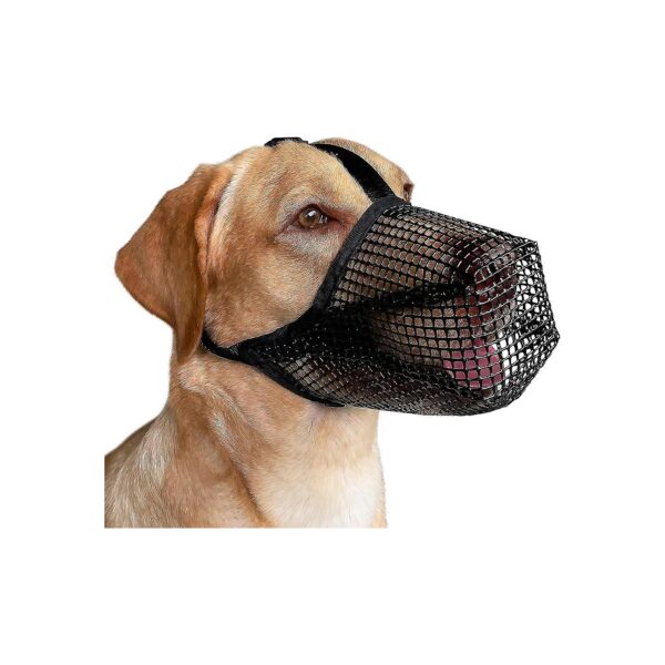 Protective Poisoned Bait Muzzle for Small Medium Large Dogs