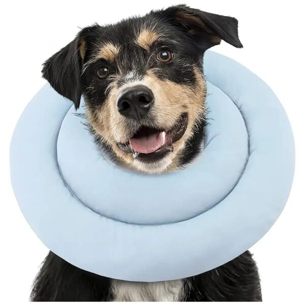 Protective Recovery Collar for Small Dogs - Soft Cone Alternative After Surgery