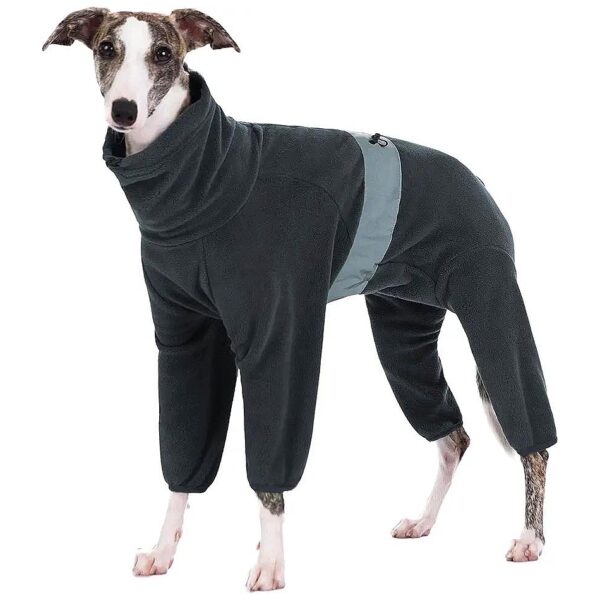 Protective and Insulating Dog Winter Clothes for Medium Large Dogs