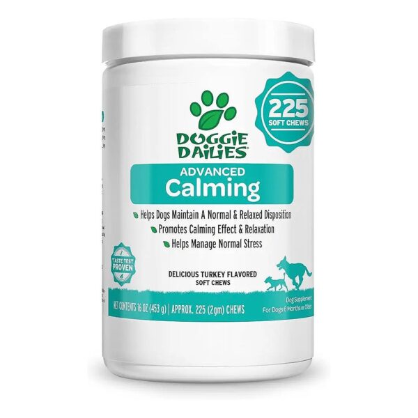 Proven Stress Relief for Dogs with Thunderstorms, Fireworks, and Travel Anxiety