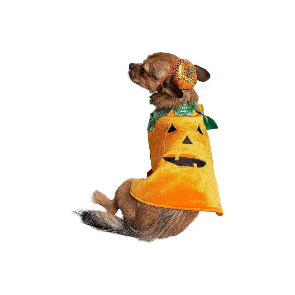 Pumpkin Dog Costume with Hat and Sequins for Small to Extra Large Dogs