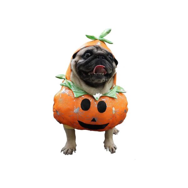 Pumpkin Hooded Coat for Small Dogs with Unique Spider Design for Halloween Party