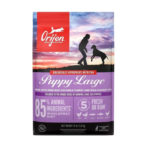 Puppy Food with Fresh or Raw Ingredients for Large Breed Dogs