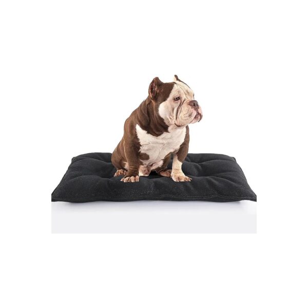 Puppy Friendly Soft and Gentle Teething Bed 35 '' x22 '' Water Resistant Crate Mat