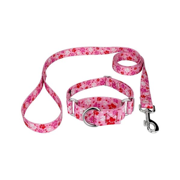 Puppy Love Inspired Martingale Collar and Leash with 1 Inch Width and Adjustable Neck