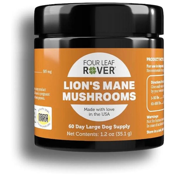 Pure and Organic Lion's Mane Mushroom Powder for Dog Wellness and Cognitive Function