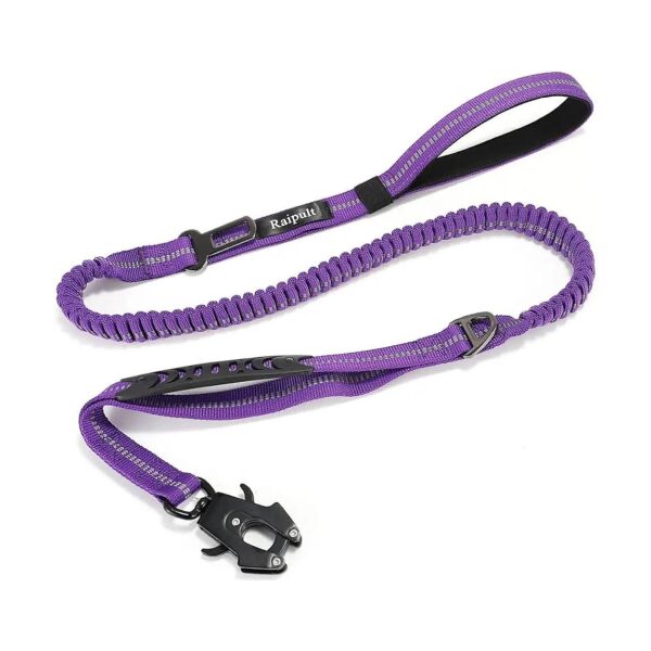 Purple 4-6FT Bungee Leash with Car Seatbelt and Two Handles for Medium Large Dogs