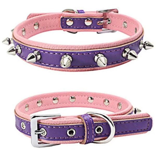 Purple Genuine Leather Padded Dog Collar with Nickel Plated Spikes for Small Medium Pets