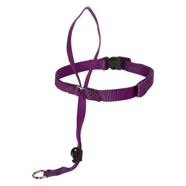 Purple Large Dog Head Harness with Humane Design for Stress-Free Walks 60-130 Pounds