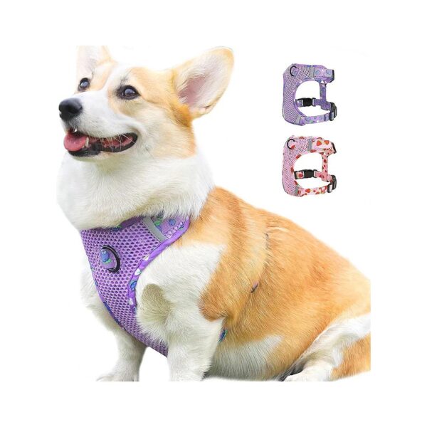 Purple Solid Color Dog Vest with Soft Cushion Padding for Skin Protection