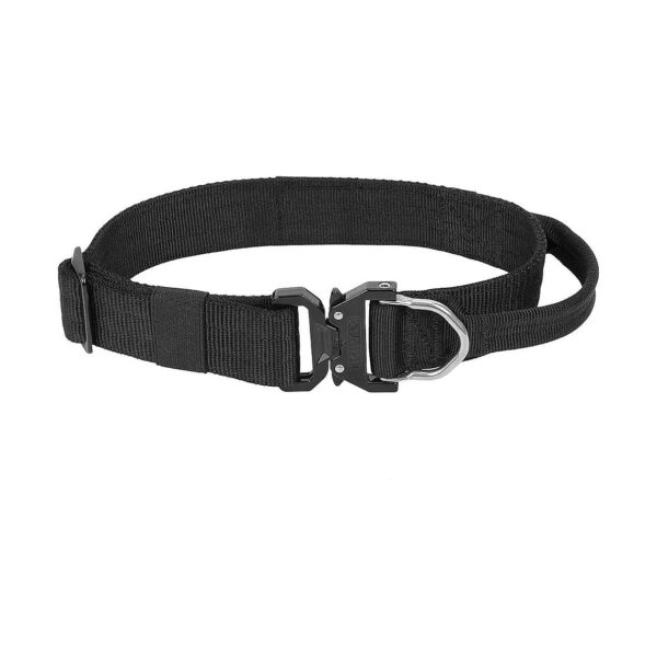 Quality Dog Collar with Quick Release Snap and Stainless Steel D-Ring for Safe Use