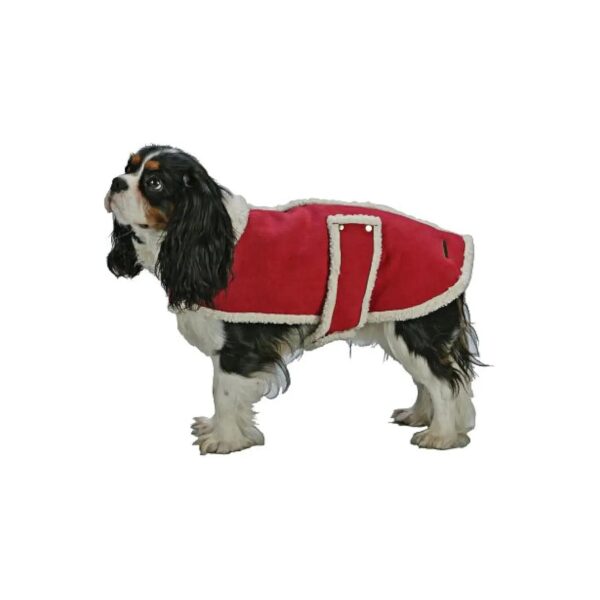 Quality Suede Shearling Coat in Bright Red for Large Dogs