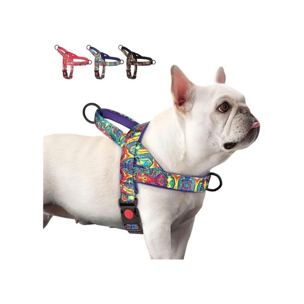 Quick Fit Dog Vest Harness for Small Medium Large Dogs with Escape Proof Design