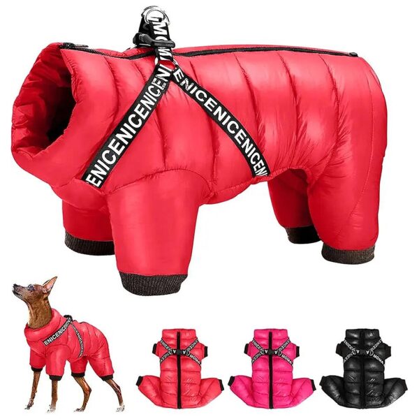 Quick and Easy Winter Jacket for Small Dogs with Zip Up and Harness D Rings