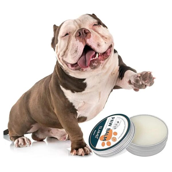 Quickly Absorbent and Safe Paw Balm for Dogs with Dry Paw Pads