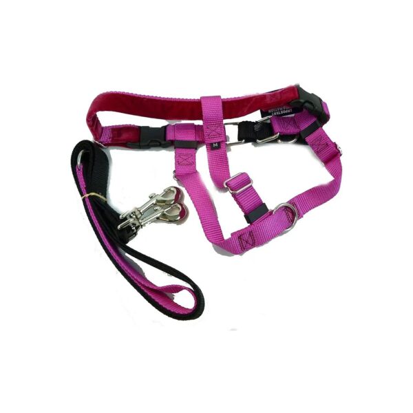 Raspberry No Pull Dog Harness with Adjustable Leash and Velvet Lining X Small