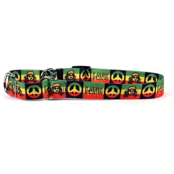 Rasta Polyester Martingale Control Collar for Small to Medium Necked Dogs Made in the USA