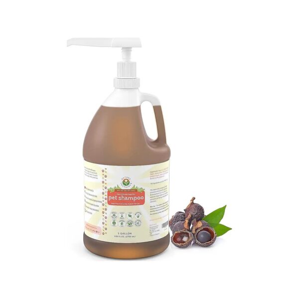 Raw Pet Shampoo for Itchy, Dry Skin with Neem and Soap Nut for Healthy Coat