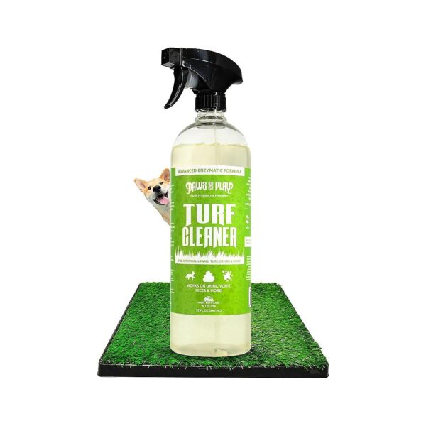 Realistically Clean and Deodorize Your Fake Grass with Our Effective Pet Urine Cleaner