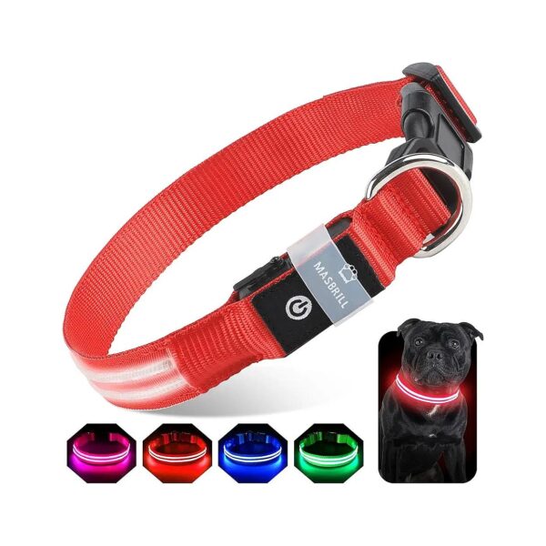 Rechargeable Waterproof LED Dog Collar for Large Medium Small Dogs