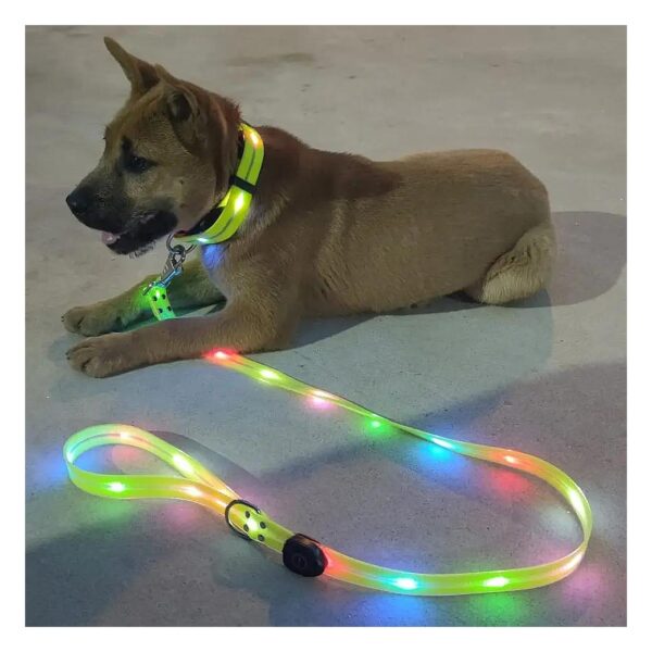 Rechargeable Waterproof LED Dog Leash and Collar for Safe Night Strolls