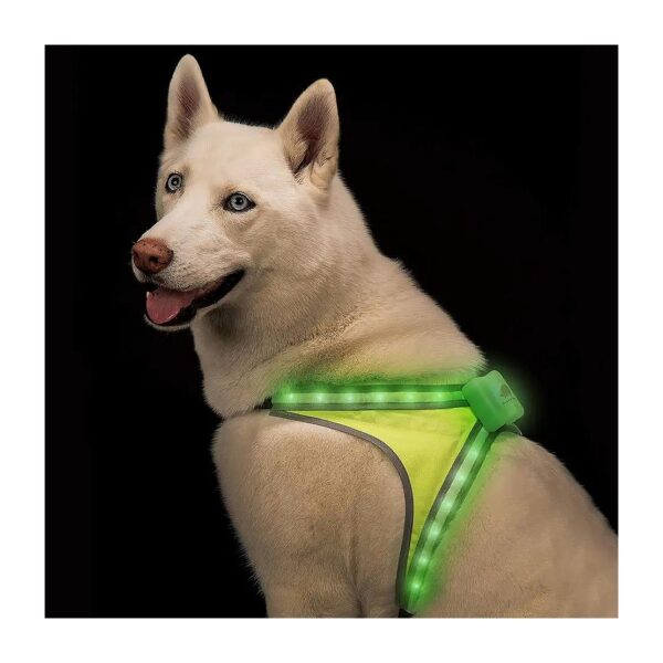 Rechargeable and Waterproof Light Up Dog Harness for Up to 15 Hour Runtime