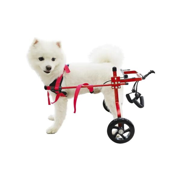 Red Adjustable Pet Wheelchair for Back Legs Mobility for Dogs with Hind Leg Disability