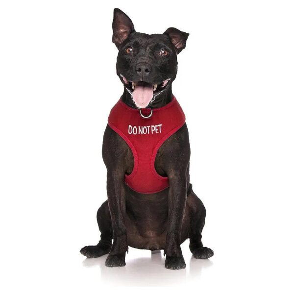 Red Alert Waterproof Dog Harness with Non-Pull Design Prevents Accidents and Incidents