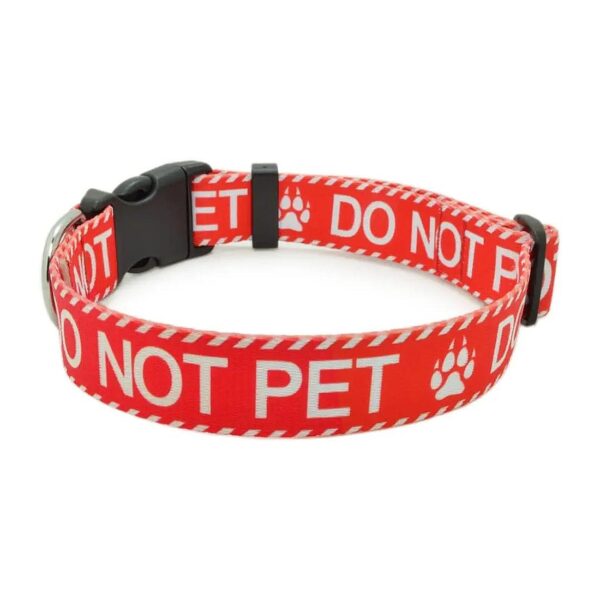 Red DO NOT PET Dog Collar with Buckle for Small Medium Large Dogs